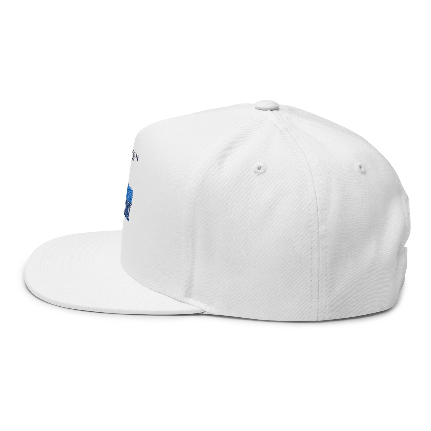 FANCORICONZ BILL HAT