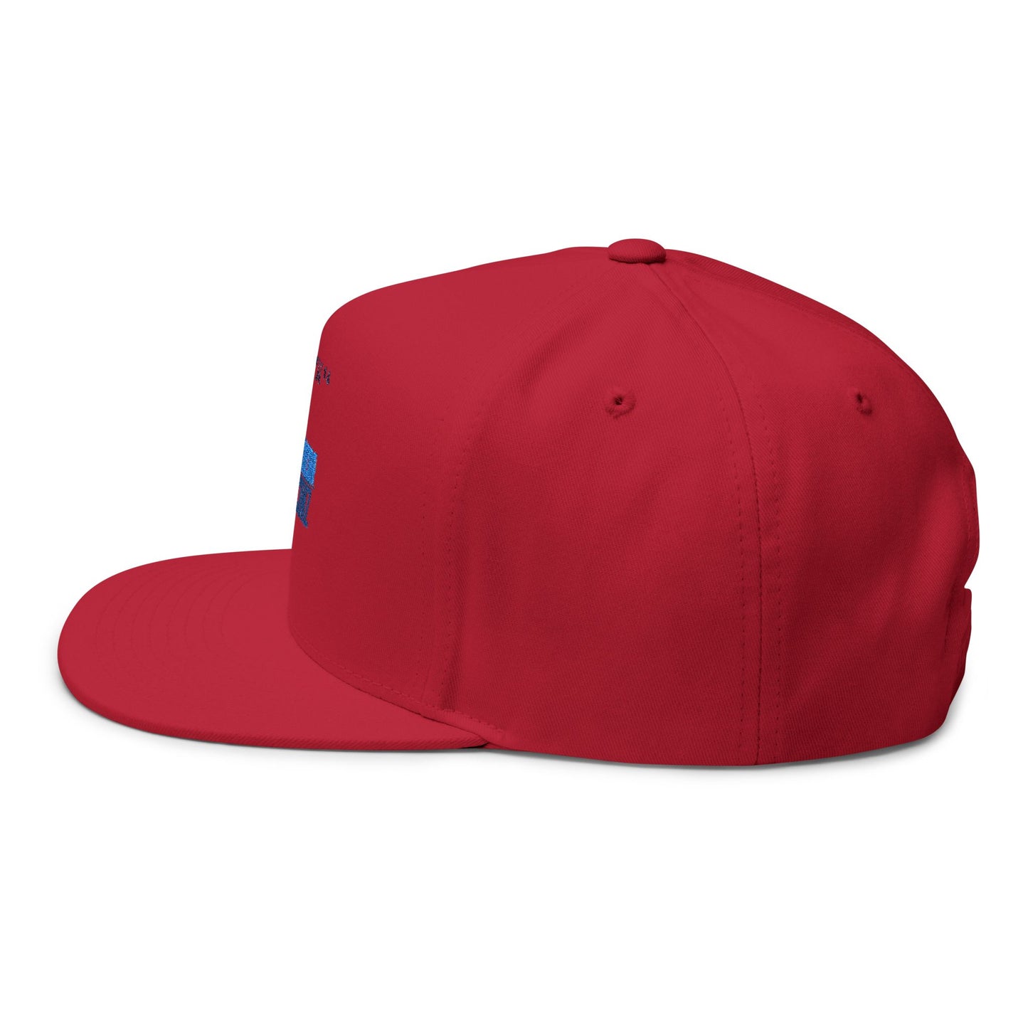 FANCORICONZ BILL HAT